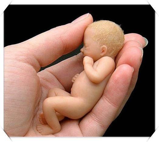 科学解释婴灵人物 ， 堕胎怎么超度怎么做(图3)